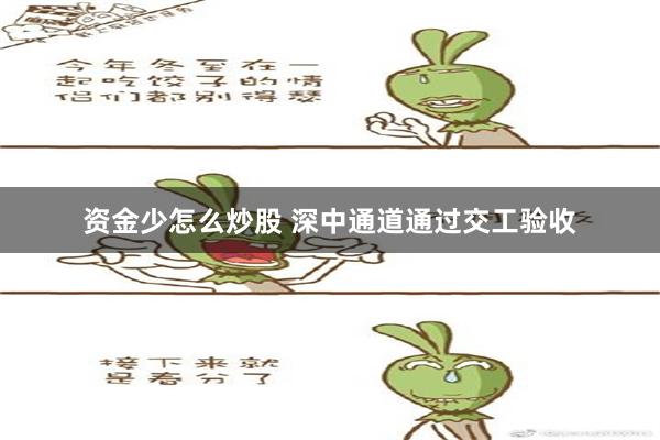 资金少怎么炒股 深中通道通过交工验收