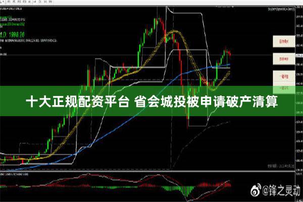 十大正规配资平台 省会城投被申请破产清算