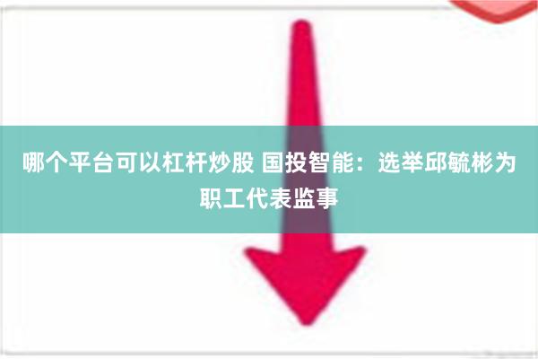 哪个平台可以杠杆炒股 国投智能：选举邱毓彬为职工代表监事