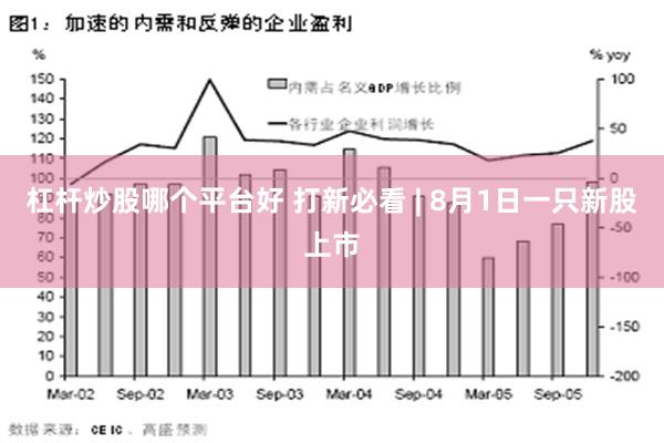 杠杆炒股哪个平台好 打新必看 | 8月1日一只新股上市