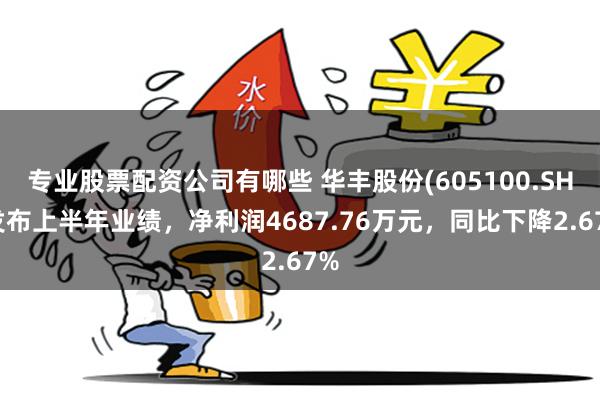 专业股票配资公司有哪些 华丰股份(605100.SH)发布上半年业绩，净利润4687.76万元，同比下降2.67%