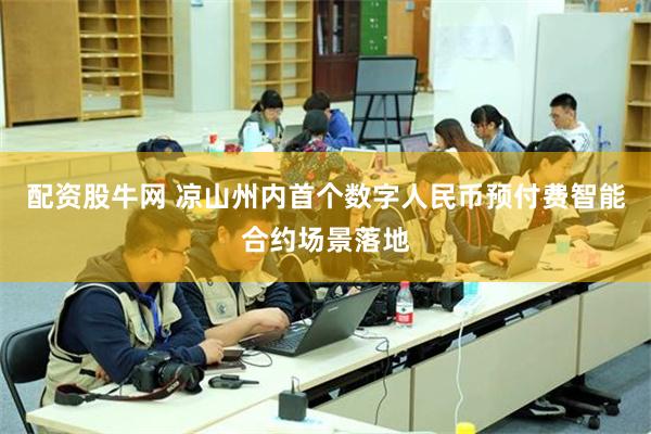 配资股牛网 凉山州内首个数字人民币预付费智能合约场景落地