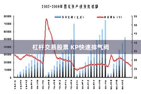 杠杆交易股票 KP快速排气阀