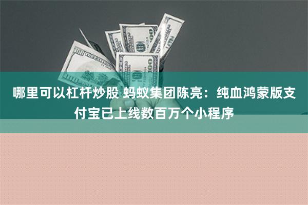 哪里可以杠杆炒股 蚂蚁集团陈亮：纯血鸿蒙版支付宝已上线数百万个小程序