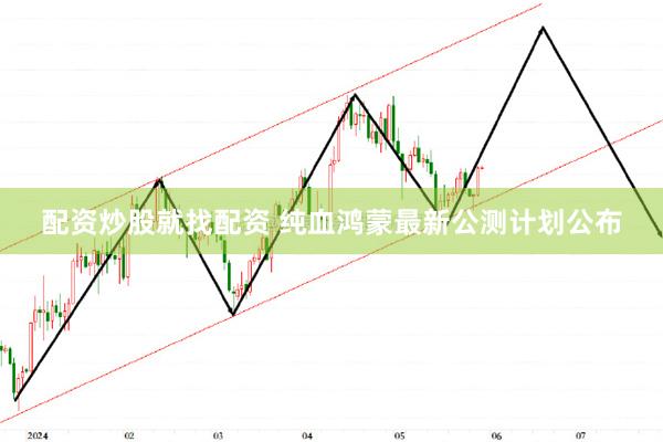 配资炒股就找配资 纯血鸿蒙最新公测计划公布