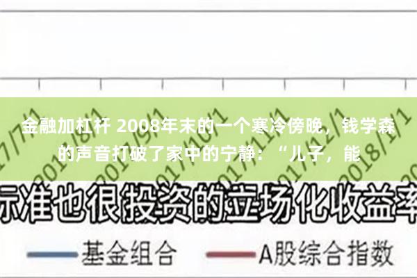 金融加杠杆 2008年末的一个寒冷傍晚，钱学森的声音打破了家中的宁静：“儿子，能