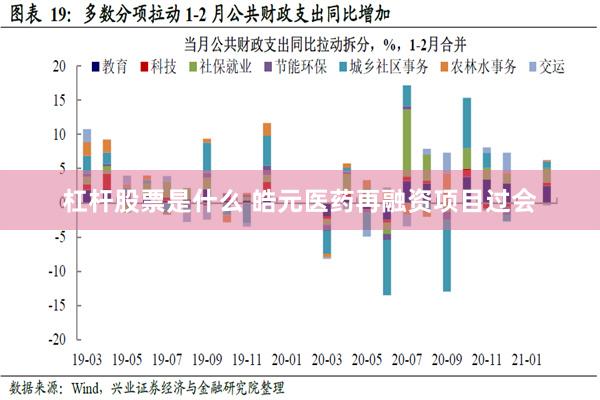 杠杆股票是什么 皓元医药再融资项目过会