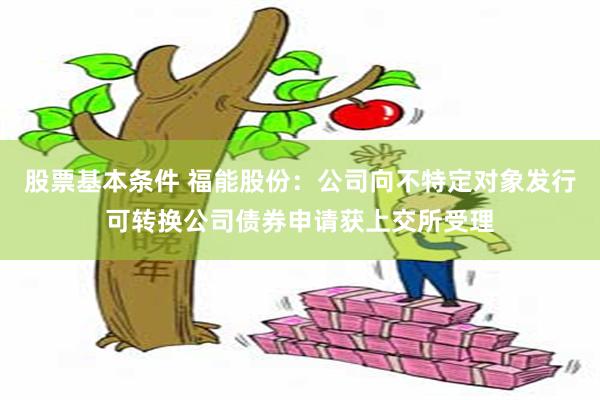 股票基本条件 福能股份：公司向不特定对象发行可转换公司债券申请获上交所受理