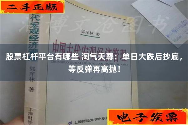 股票杠杆平台有哪些 淘气天尊：单日大跌后抄底，等反弹再高抛！