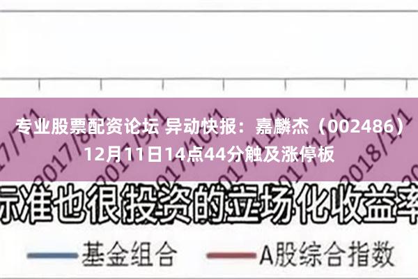 专业股票配资论坛 异动快报：嘉麟杰（002486）12月11日14点44分触及涨停板