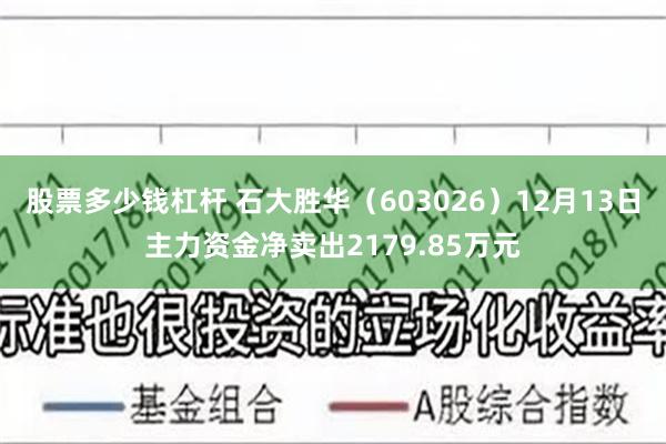 股票多少钱杠杆 石大胜华（603026）12月13日主力资金净卖出2179.85万元