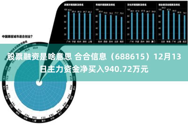 股票融资是啥意思 合合信息（688615）12月13日主力资金净买入940.72万元