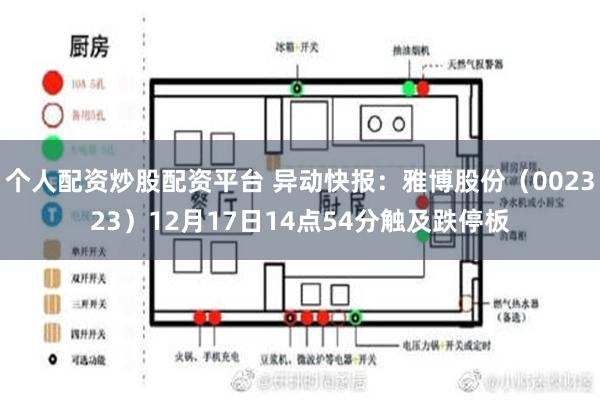 个人配资炒股配资平台 异动快报：雅博股份（002323）12月17日14点54分触及跌停板