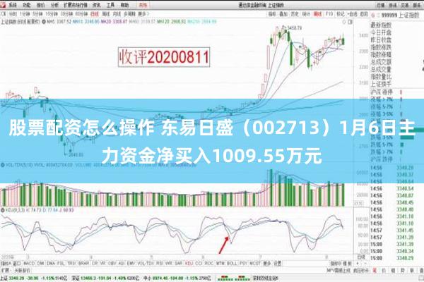 股票配资怎么操作 东易日盛（002713）1月6日主力资金净买入1009.55万元