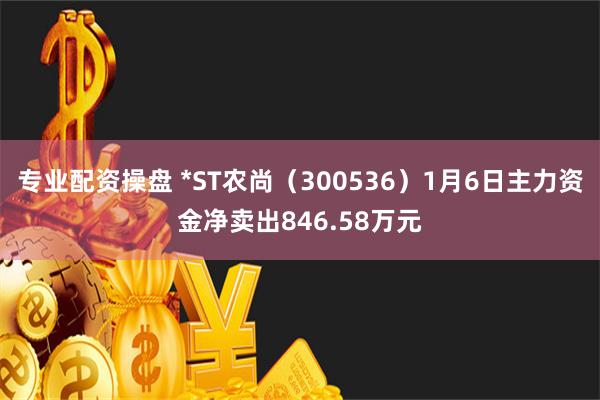 专业配资操盘 *ST农尚（300536）1月6日主力资金净卖出846.58万元