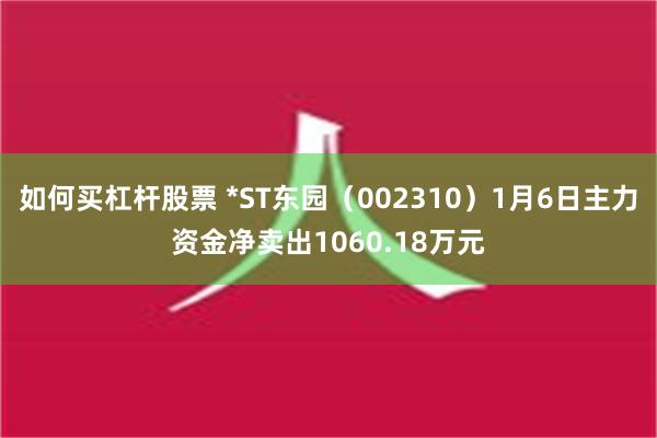 如何买杠杆股票 *ST东园（002310）1月6日主力资金净卖出1060.18万元