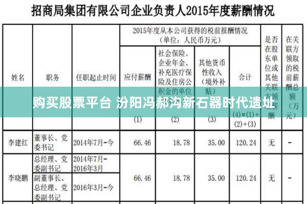 购买股票平台 汾阳冯郝沟新石器时代遗址