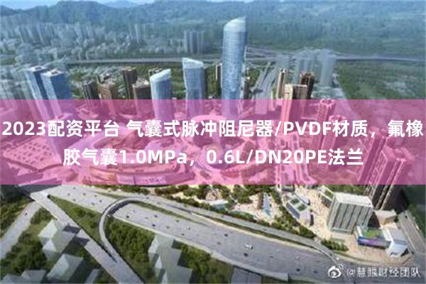 2023配资平台 气囊式脉冲阻尼器/PVDF材质，氟橡胶气囊1.0MPa，0.6L/DN20PE法兰